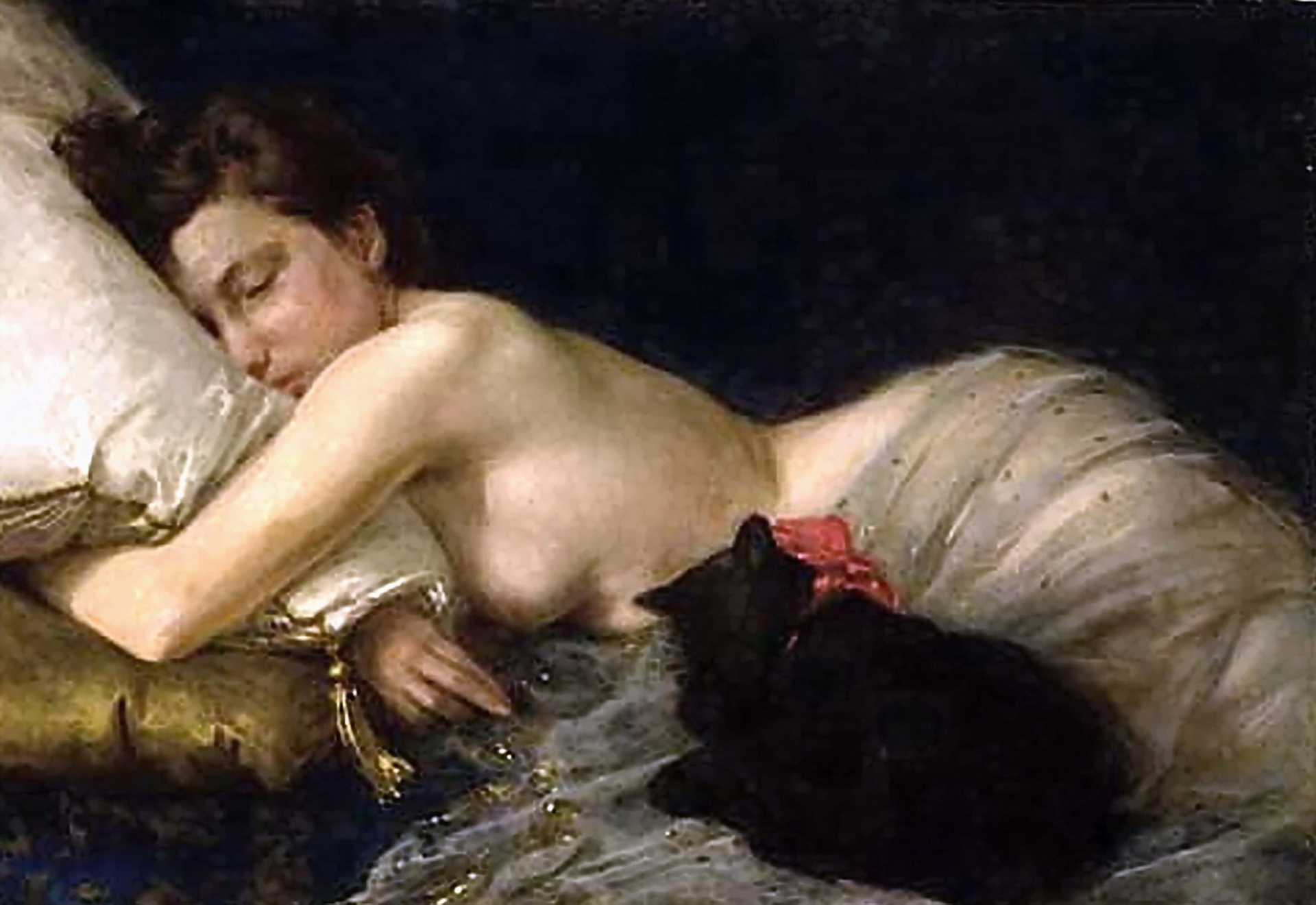 The nude woman is asleep with a see-through shawl over her body. A black cat with a pink ribbon around its neck is asleep too.