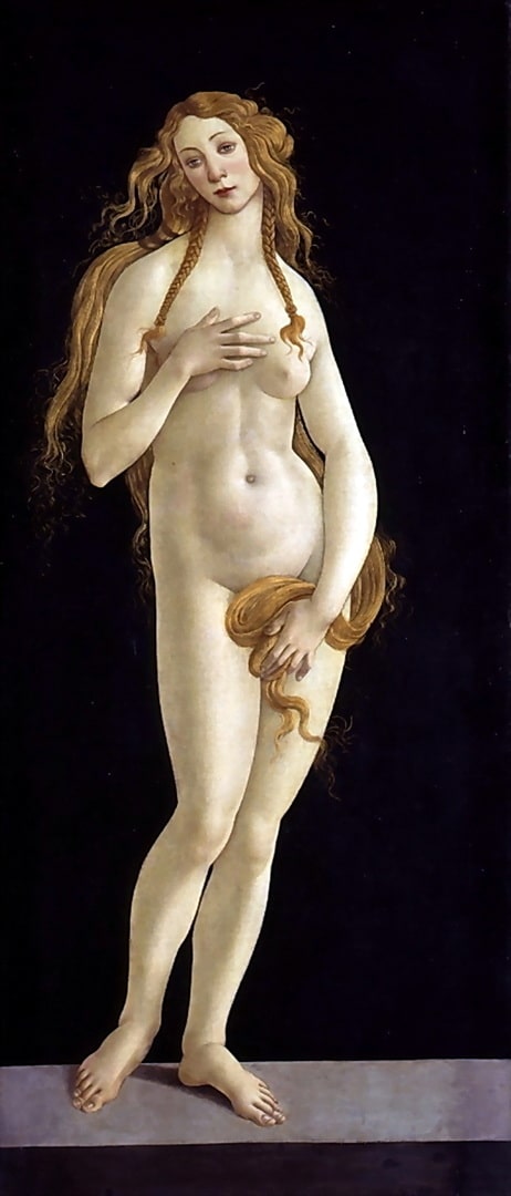 Venus has long golden hair flowing down to her pussy.