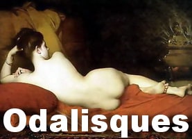 Odelisques are the girls who provide sexual favours to the Sultans.