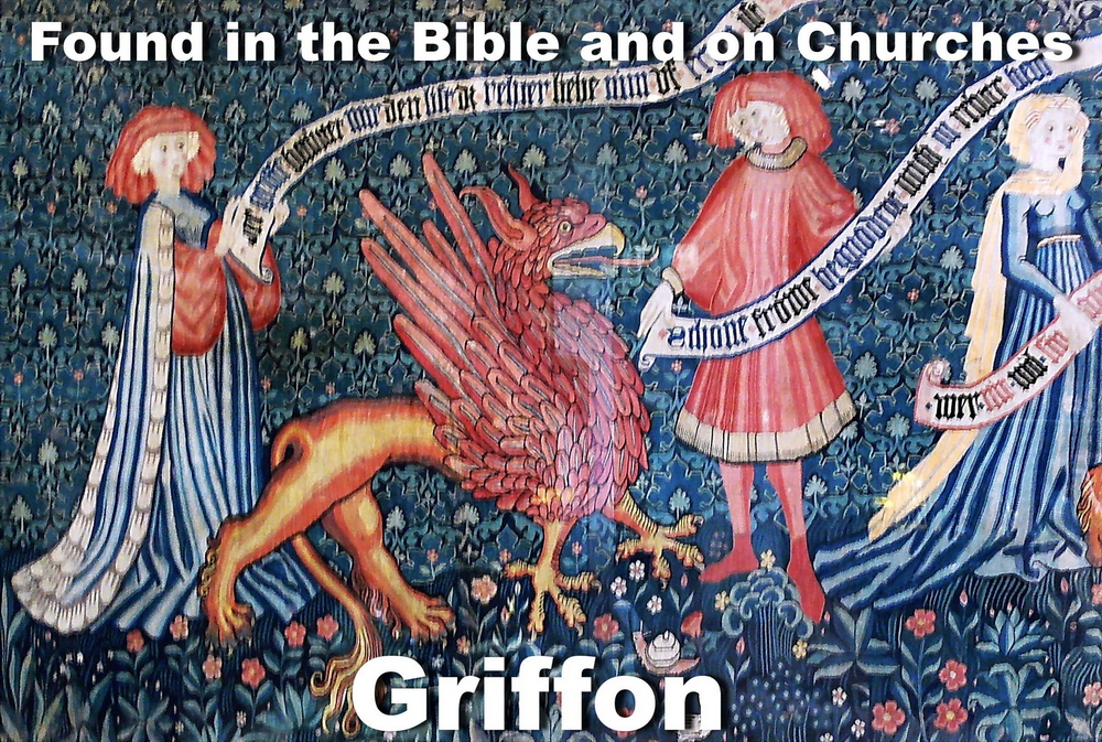 Griffon